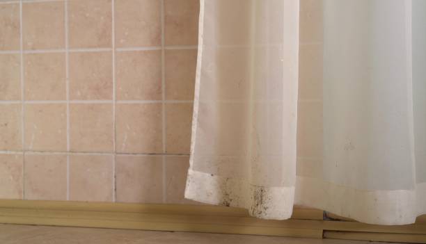 Best Mold Odor Removal Services  in Vermillion, SD