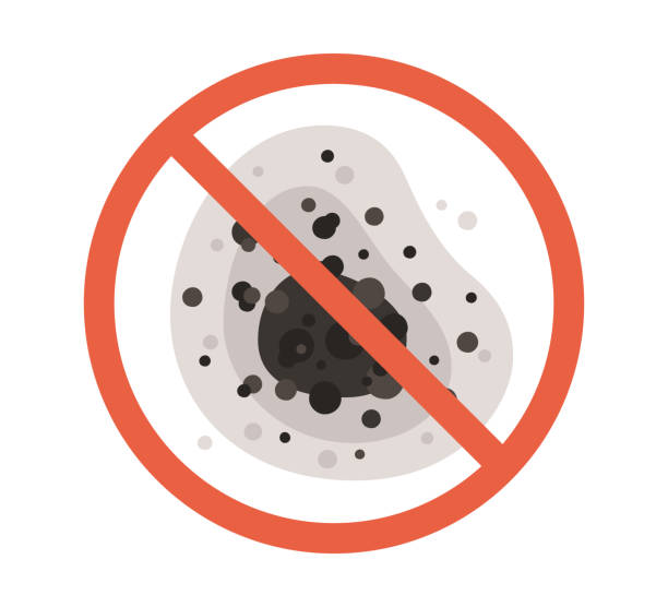 Best Emergency Mold Remediation  in Vermillion, SD