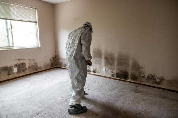 Best Air Quality Testing for Mold Spores  in Vermillion, SD