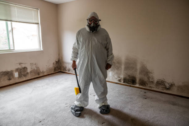 Best Post-Remediation Verification Testing  in Vermillion, SD